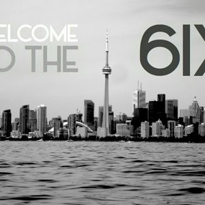 Meet your Posher, Bella